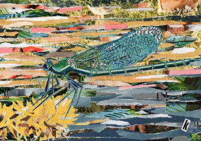 Libellule verte - Kirstie Adamson