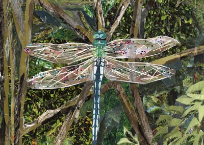 Libellule turquoise - Kirstie Adamson
