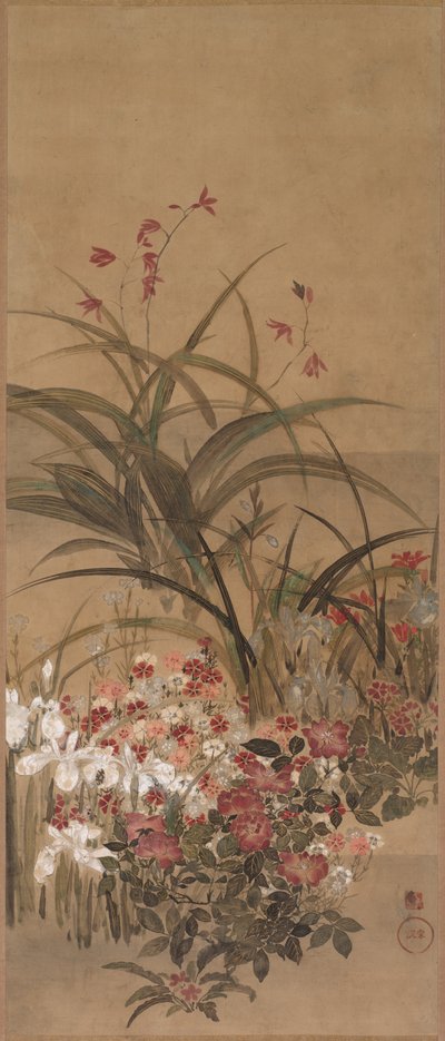 Fleurs d