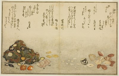 Ashi-gai, hamaguri, ko-gai, suzume-gai, akoya-gai, et katashi-gai, du livre illustré "Cadeaux de la marée descendante (Shiohi no tsuto)" - Kitagawa Utamaro