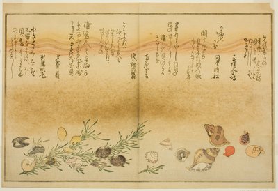 Beni-gai, hora-gai, urauzu-gai, wasure-gai, chiyonohana-gai, et masuho-gai, du livre illustré "Cadeaux de la Marée Basse" - Kitagawa Utamaro