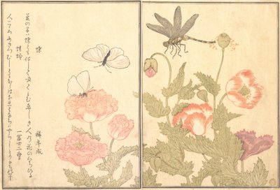 Papillon Cho, Libellule Kagero ou Tonbo, 1788 - Kitagawa Utamaro