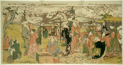 Banquet de fleurs de cerisier (Oka no utage) - Kitagawa Utamaro
