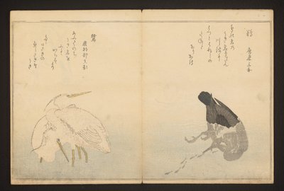 Cormoran et héron - Kitagawa Utamaro