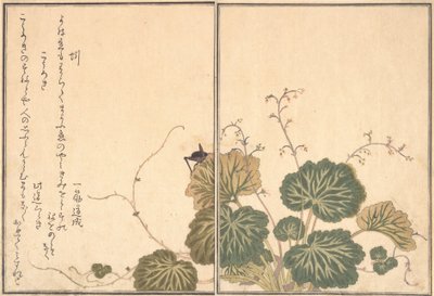 Ver de terre Mimizu, Grillon Korogi..., 1788 - Kitagawa Utamaro