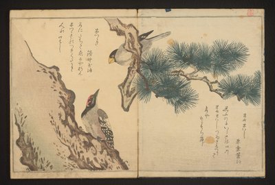 Gros-bec et pic - Kitagawa Utamaro