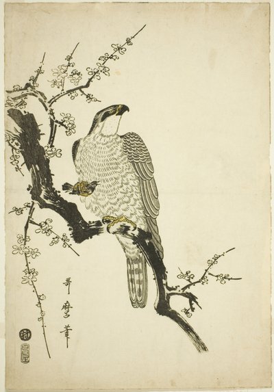 Faucon sur une branche de prunier - Kitagawa Utamaro