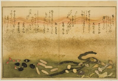 Minashi-gai, shio-gai, katatsu-gai, miso-gai, chijimi-gai, et chigusa-gai, du livre illustré "Cadeaux de la marée descendante (Shiohi no tsuto)" - Kitagawa Utamaro