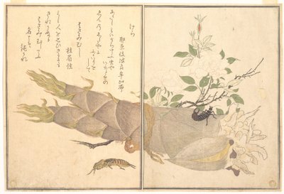 Grillon-taupe (Kera) ; Perce-oreille (Hasami-mushi), tiré du livre d