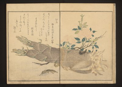 Grillon-taupe et perce-oreille sur une pousse de bambou - Kitagawa Utamaro