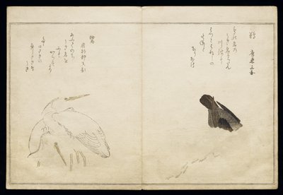P.332-1946 Vol.1 f.4 Cormoran à droite et deux hérons neigeux à gauche, d