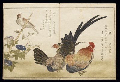P.332-1946 Vol.1 f.8 Coq et poule à droite avec un bruant à gauche, d