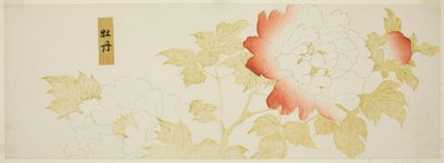 Pivoines - Kitagawa Utamaro