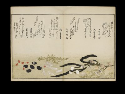 Shiohi no tsuto (Cadeaux de la marée descendante), connu sous le nom de Livre des coquillages, 1789 - Kitagawa Utamaro