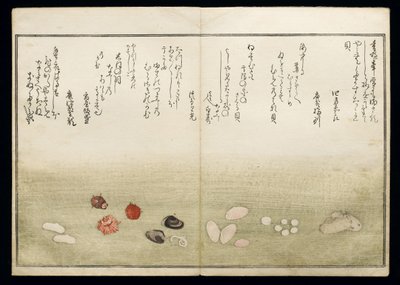 Shiohi no tsuto (Cadeaux de la marée descendante), connu sous le nom de Livre des coquillages, 1789 - Kitagawa Utamaro