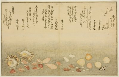 Shiro-gai, namima-gashiwa, makura-gai, iro-gai, aza-gai, sadae-gai, du livre illustré "Cadeaux de la marée descendante (Shiohi no tsuto)" - Kitagawa Utamaro