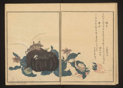 Escargot et criquet bruyant sur aubergine - Kitagawa Utamaro