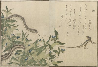Serpent et lézard, 1788 - Kitagawa Utamaro