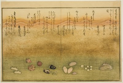 Sudare-gai, hana-gai, sakura-gai, mumeno-gai, nadeshiko-gai, et kinuta-gai, du livre illustré "Cadeaux de la marée descendante" - Kitagawa Utamaro