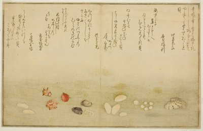 Sudare-gai, hana-gai, sakura-gai, mumeno-gai, nadeshiko-gai, et kinuta-gai, du livre illustré "Cadeaux de la marée descendante (Shiohi no tsuto)" - Kitagawa Utamaro