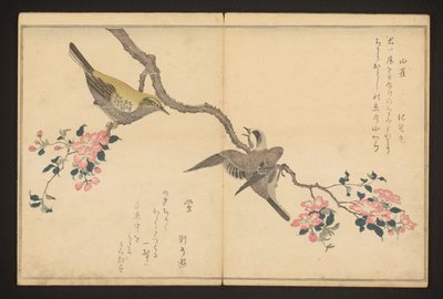 Mésange et bouscarle - Kitagawa Utamaro