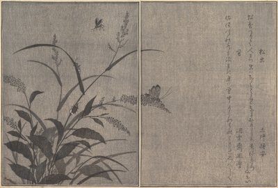 Grillon des arbres Matsumushi, Luciole Hotaru..., 1788 - Kitagawa Utamaro