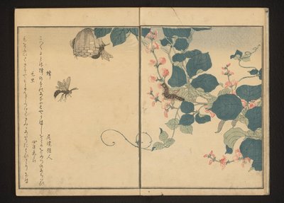 Guêpes et chenille velue sur une flèche - Kitagawa Utamaro