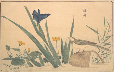 La Bergeronnette grise - Kitao Masayoshi