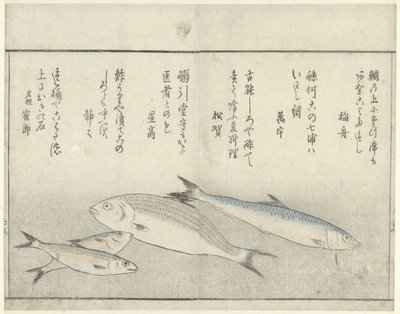 Quatre poissons - Kitao Masayoshi