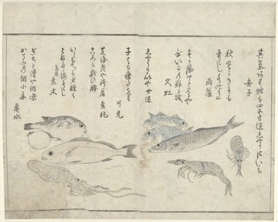 Animaux marins - Kitao Masayoshi