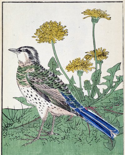 Oiseau. Dessin japonais par Kitao Kosuisai - Kitao Shigemasa