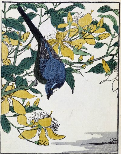 Oiseau sur un arbre. Dessin japonais par Kitao Kosuisai - Kitao Shigemasa