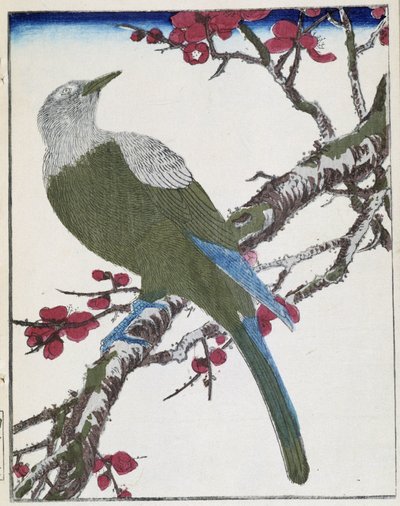 Oiseau sur un arbre - Kitao Shigemasa