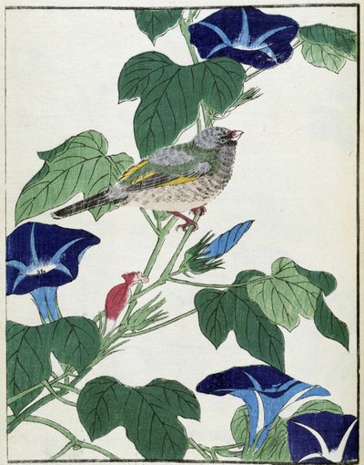Oiseau sur un arbre. Dessin japonais par Kitao Kosuisai - Kitao Shigemasa