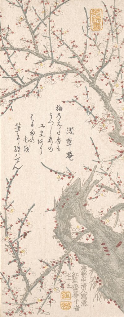 Prunier en fleur, 1813 - Kitao Shigemasa