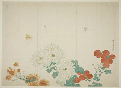 Trois types de chrysanthèmes - Kitao Shigemasa
