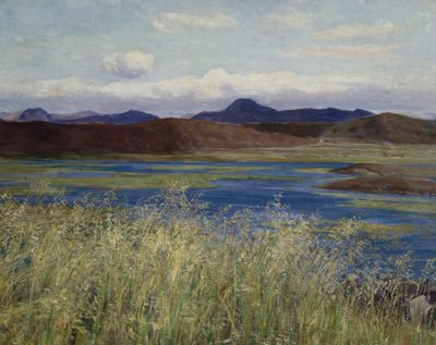 Paysage de Jæren - Kitty Lange Kielland