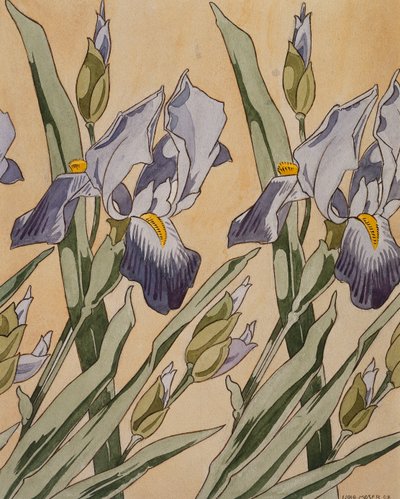 Iris, 1898 - Koloman Moser