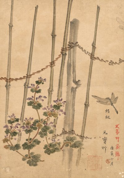 Clôture en bambou et chrysanthèmes - Kono Bairei