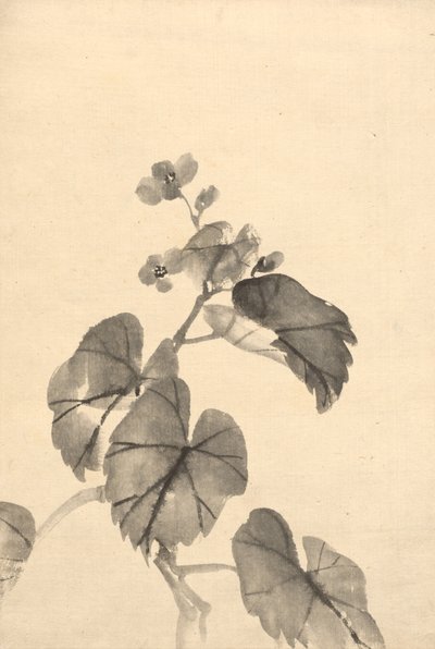 Branche de bégonia en fleur - Kono Bairei