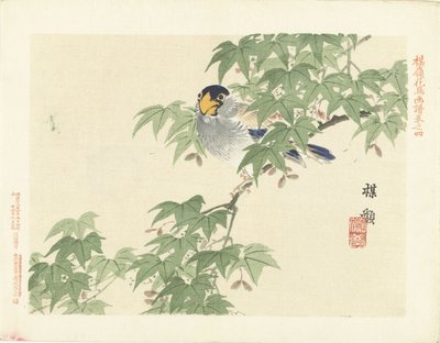 Oiseau gris-bleu - Kono Bairei