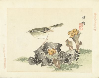 Oiseau vert - Kono Bairei