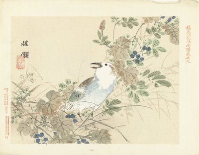 Oiseau chanteur parmi les herbes d