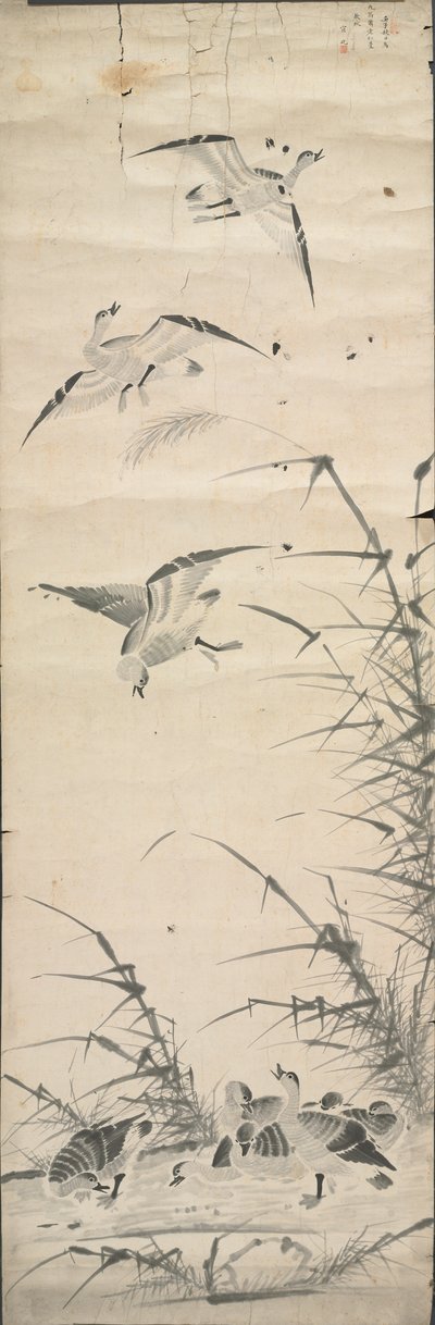 Oies sauvages et roseaux - Korea, Joseon dynasty