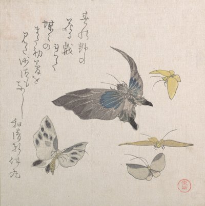 Papillons, 19ème siècle - Kubo Shunman