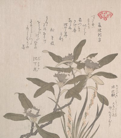 Daphne odora et Mojisuri-so, 19ème siècle - Kubo Shunman