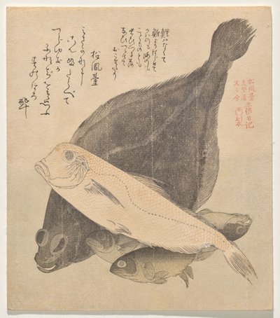 Plie, Tilefish et trois carpes crucian, de la série Tosa Diary (Tosa nikki) - Kubo Shunman