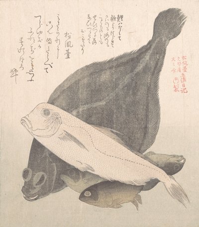 Plie et autres poissons, XIXe siècle - Kubo Shunman