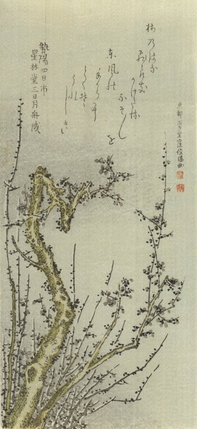 Vieux prunier - Kubo Shunman