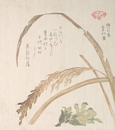 Plant de riz et pétasites - Kubo Shunman